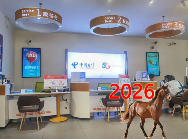 2026�궫ݸ���ſ���������Ϊ������